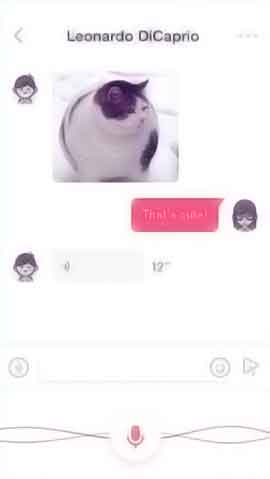 网页端ddos软件程序维护界面